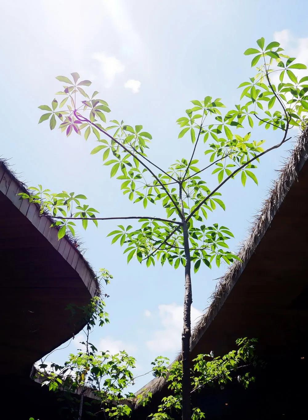 �������ǲ�(ZLKS)����Ψһ�ٷ���վ